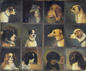 Dvanáct oblíbených psů, 1883