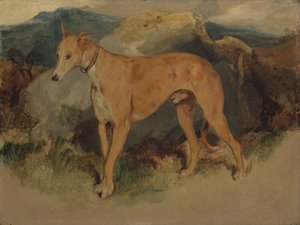 Deerhound, 1826. od Edwin Landseer