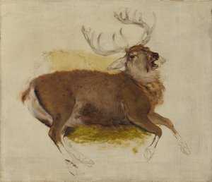 Dying Stag, ca. 1830. od Edwin Landseer