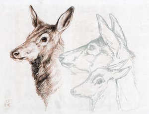 Faksimile kresby sira E Landseera, 1874. od Edwin Landseer