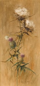 Butterfly on Thistle Heads (wc na papíře)