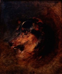 Studie hlavy psa kolie od Edwin Landseer
