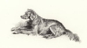 Pes setr od Edwin Landseer