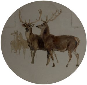 Jelen v krajině (Studie jelenů) od Edwin Landseer