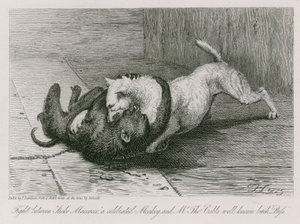 Boj mezi Jaccem Macaccem, slavnou opicí, a známou fenkou pana Thomase Cubba, Kocourem. od Edwin Landseer