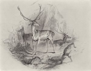 V Glenu od Edwin Landseer