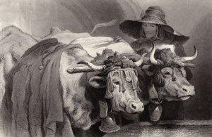 Oxen at the Tank, Ženeva, Švýcarsko od Edwin Landseer