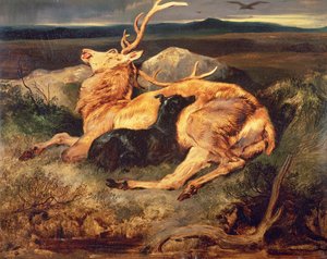 Jelen od Edwin Landseer