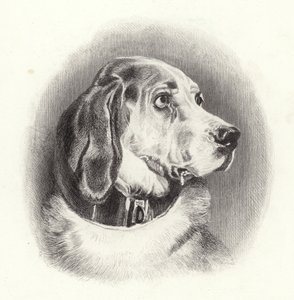 Krvavý pes od Edwin Landseer