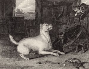 Vetřelec od Edwin Landseer
