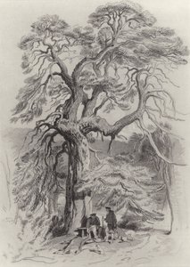Pod starou jedlí od Edwin Landseer