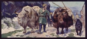 Thibetan Yak Train (barevní členové)