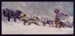 Tým Esquimaux Sledge Dog Team (barevné foto)