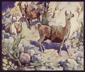 Lamy v Andách (barva litho)