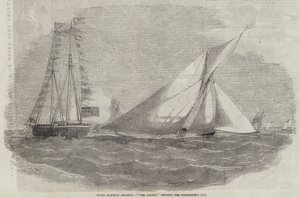 Royal Harwich Regatta, Amazon vyhrál Commodore