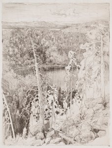 Krajina z Koli; Lesní krajina z Räsävaary od Eero Järnefelt