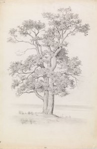  od Eero Järnefelt