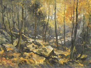 "Felsenmeer" od Egbert Rubertus Derk Schaap