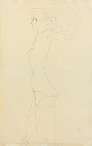 Ženský akt; Madchenakt, 1911 od Egon Schiele