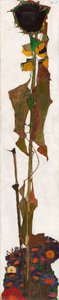 Slunečnice, 1909-1910. od Egon Schiele