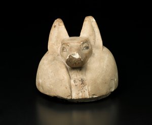 Kryt kanopické nádoby se šakalí hlavou (vápenec) od Egyptian