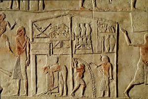 Egyptský starověk: „“potraviny se skladují ve skladech“““ Reliéf zdobící hrob vysokého úředníka 18. dynastie. Bologna Civico Museo Archeologico od Egyptian 18th Dynasty