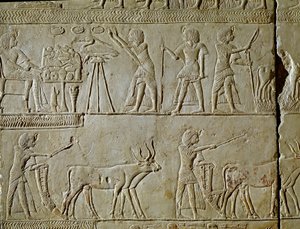 Egyptský starověk: výjevy práce na polích a obětiny faraonovi. Detail reliéfu z hrobky Horemheda (cca 1323-1293 př.nl), královského písaře Tutanchamona. 1354-1326 před naším letopočtem. Bologna, Civico Museo Archeologico od Egyptian 18th Dynasty