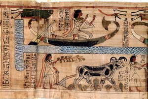 Egyptský starověk: jméno zesnulého Anera představuje na lodi Osiris, scénu orání a vážení duší (psychostáza). Papyrus z Knihy mrtvých, 20. dynastie, z Théb. Turín, egyptské muzeum - Starověký Egypt: jméno zesnulých od Egyptian 18th Dynasty