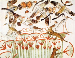 Rybolov a lov ptactva v bažinách, detail ptáků, z hrobové kaple v Menně, Nová říše (nástěnná malba) od Egyptian 18th Dynasty