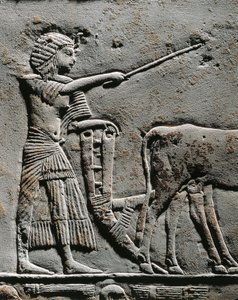 Horemheb orá půdu na polích Iaru, reliéf z Horemhebovy hrobky v Sakkáře, detail od Egyptian 18th Dynasty