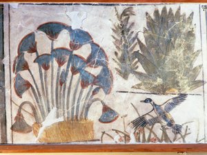 Malba znázorňující kachnu mezi rostlinami z Achnatonova paláce, El-Awara, Egypt od Egyptian 18th Dynasty