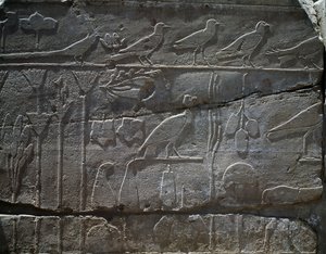 Rostliny a zvířata přivezená z výpravy Thutmose III. do Sýrie v roce 1465 př. n. l., detail reliéfu, hala známá jako tzv. botanická zahrada, Amonův chrám, chrámový komplex v Karnaku, Egyptská civilizace, Nová říše, dynastie XVIII od Egyptian 18th Dynasty