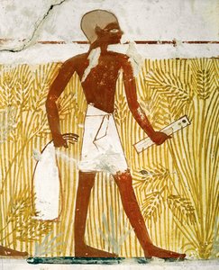 Písař s krabičkou na odměřování zrna rákosovým perem od Egyptian 18th Dynasty