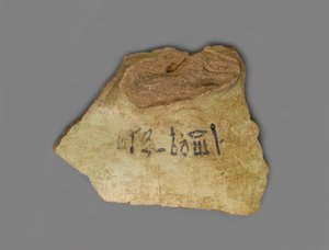 Etiketa vína, nalezená v paláci Amenhotepa III, Théby, Nová říše (terakota s pigmentem)