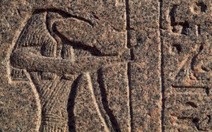 Vyobrazení Thóta, detail nápisu a reliéfu Thóta a Hóra, Amenhotepův sarkofág, Memfis (Seznam světového dědictví UNESCO) od Egyptian 19th Dynasty