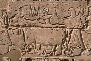 Detail reliéfu zobrazujícího muže vedoucí krávu, nádvoří Ramesse II (1298-32 př.nl) (vápenec) od Egyptian 19th Dynasty