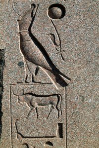 Hieroglyf s Horovým jménem, Velký Amonův chrám, Tanis, Egypt, Nová říše, 19. dynastie od Egyptian 19th Dynasty