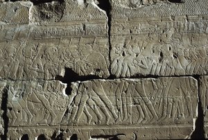 Reliéf, Amonův chrám, Luxor, starověké Théby (Seznam světového dědictví UNESCO) od Egyptian 19th Dynasty