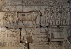 Reliéf, Chrám Ramsese II, Abydos, Egypt, Egyptská civilizace, Nová říše, Dynastie XIX (foto) od Egyptian 19th Dynasty