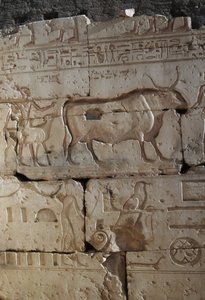 Reliéf, Chrám Ramsese II, Abydos, Egypt, Egyptská civilizace, Nová říše, Dynastie XIX (foto) od Egyptian 19th Dynasty
