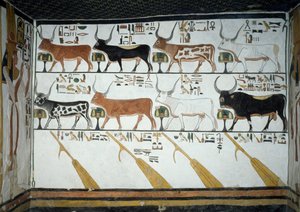 Sedm nebeských krav, býk a čtyři kormidelní vesla, kapitola 148 Knihy mrtvých, detail z fresek v druhé komoře Hrobky Nefertari, Údolí královen, Luxor, Théby. Egyptská civilizace, Nová říše, dynastie XIX. od Egyptian 19th Dynasty