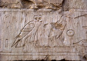 Egyptský starověk: reliéf představující sovu a orla. Hrobka Ankh-Hor (Ankh Hor) (TT414) (26. dynastie, 672-525 př. n. l.), Luxor (Théby), Egypt od Egyptian 26th Dynasty