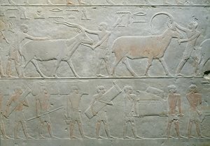 Sluhové jedoucí na oryxovi a antilopě a další nesoucí zavazadla z Mastaby z Akhethotepu, Sakkára, Stará říše, cca 2400 př. n. l. (malovaný vápenec)