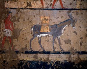 Egyptský starověk: „“přeprava obilí na hřbetě mezka“““ Temperová malba stěny hrobky kancléře krále Itiho (nebo Ityho) 2200-2000 př. Kr. Z El Ghebelen, Luxor. Turín, egyptské muzeum od Egyptian Egyptian