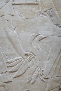 Ruka držící 2 husy za křídla, Ramoseho hrobka od Egyptian Egyptian