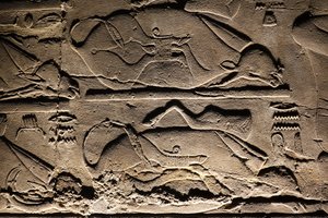 Luxorský chrám: Obětované krávy (reliéf) od Egyptian Egyptian