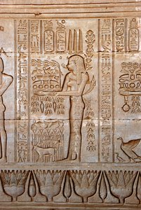 Egyptský starověk: zobrazení mladé ženy přinášející obětiny jako poctu bohyni, chrám Hathor, Dendera, Egypt od Egyptian Ptolemaic Period