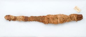 Mumie krokodýla, nalezená v Manfalontu, 305-30 př.nl (pozůstatky zvířat a prádlo) od Egyptian Ptolemaic Period