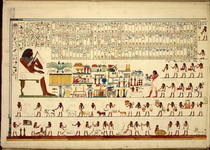 Egyptské hieroglyfy, z Pohledů, atd., od Sheikh-Hassan po Beni-Hassan, Atlas Folio (papír)