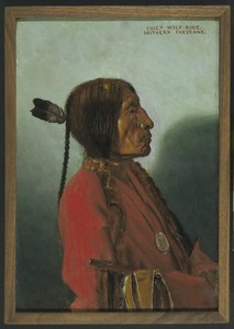 Náčelník Wolf-Robe